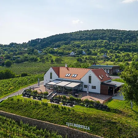 Vitis Kuria 7171 Hotel Balatonrendes
