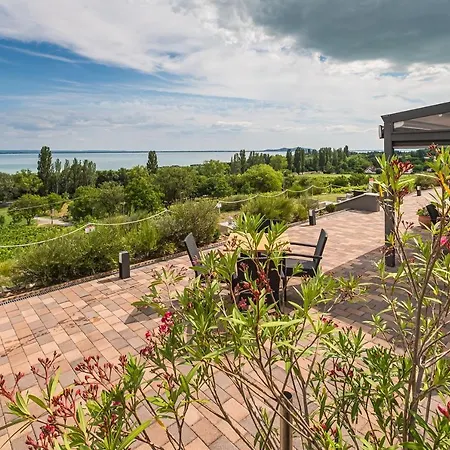 Hotel Vitis Kuria 7171