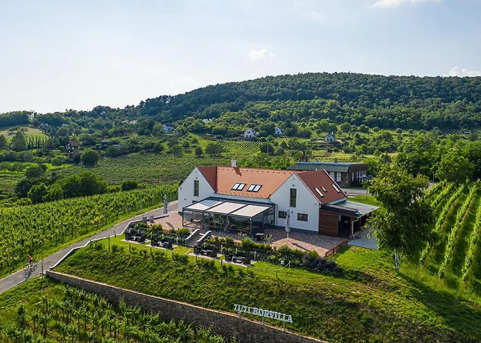 Vitis Kúria 7171 Szálloda Balatonrendes